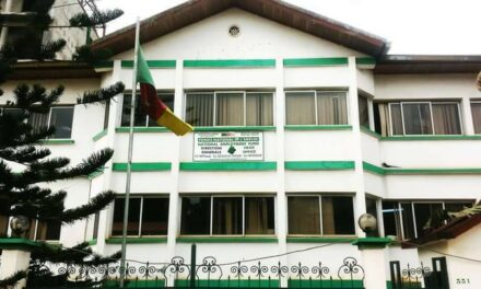 FNE : Un moteur de transformation sociale au service de la jeunesse