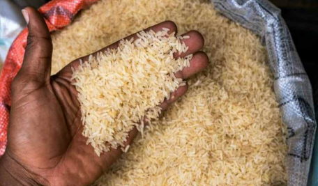 Le Cameroun mise sur le riz pour transformer son agriculture et nourrir sa population