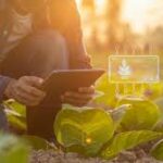 Génération Z face à l&rsquo;IA : Le chômage des jeunes en Afrique centrale, une bombe à retardement ?