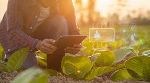 Génération Z face à l&rsquo;IA : Le chômage des jeunes en Afrique centrale, une bombe à retardement ?