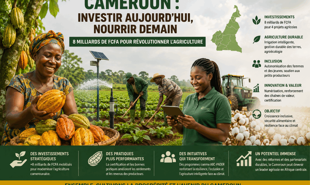 Agriculture au Cameroun : Quand investissements massifs et innovations redéfinissent l’avenir du secteur
