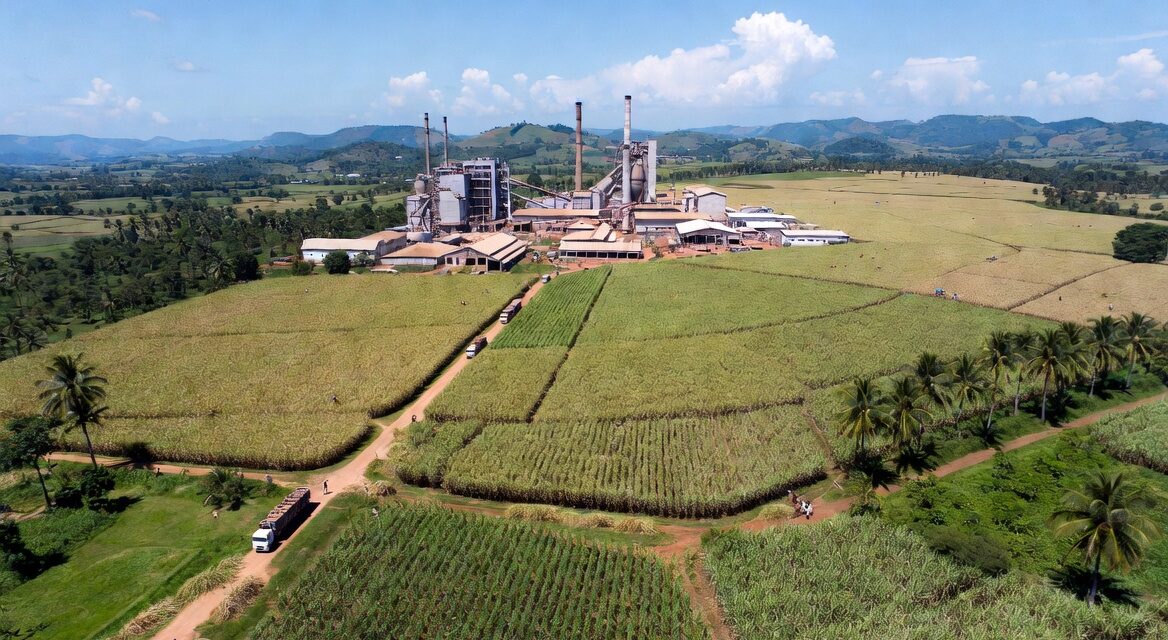 Sosucam : quand la guerre familiale Castel menace l&rsquo;industrie sucrière camerounaise