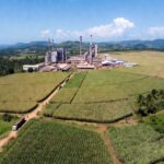 Sosucam : quand la guerre familiale Castel menace l&rsquo;industrie sucrière camerounaise