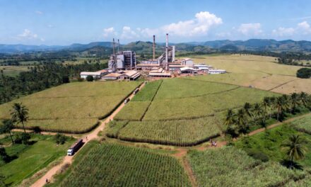 Sosucam : quand la guerre familiale Castel menace l&rsquo;industrie sucrière camerounaise