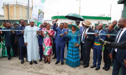 SCDP : trois nouvelles infrastructures pour renforcer la sécurité énergétique du Cameroun